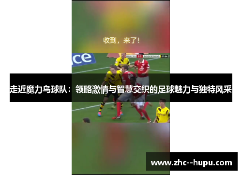 走近魔力鸟球队：领略激情与智慧交织的足球魅力与独特风采
