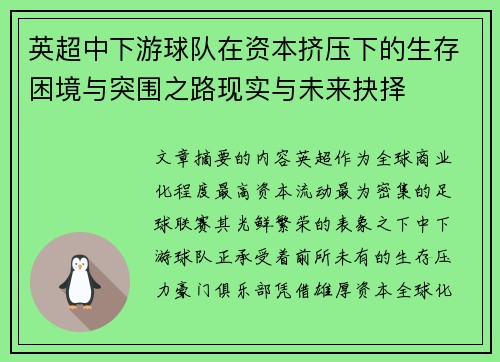 英超中下游球队在资本挤压下的生存困境与突围之路现实与未来抉择